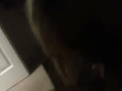 Blonde hungry for weenie slutty wife loved to take big schlong in her mouth